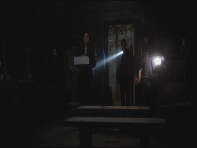 VampireDiariesWorld-dot-org-S3TVD_3x11OurTown0831.jpg