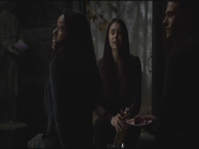 VampireDiariesWorld-dot-org-S3TVD_3x11OurTown1101.jpg