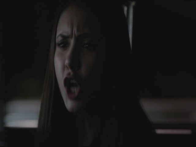 VampireDiariesWorld-dot-org-S3TVD_3x11OurTown1601.jpg