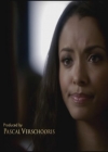 VampireDiariesWorld-dot-org-S3TVD_3x11OurTown0252.jpg