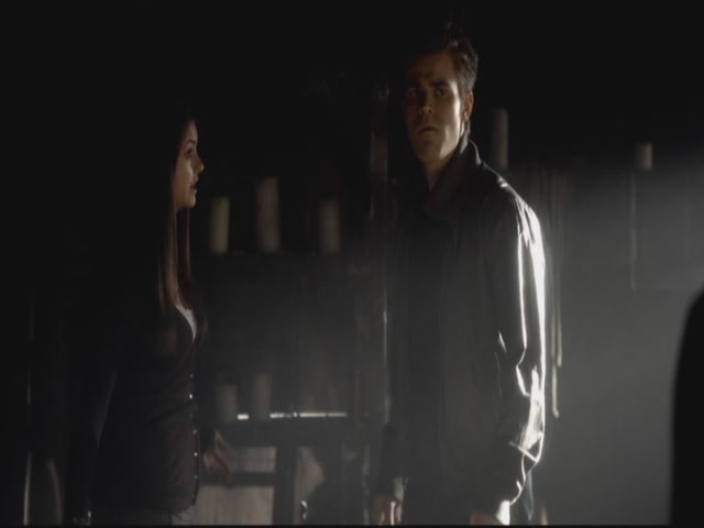 VampireDiariesWorld-dot-org-S3TVD_3x12TheTiesThatBind0117.jpg