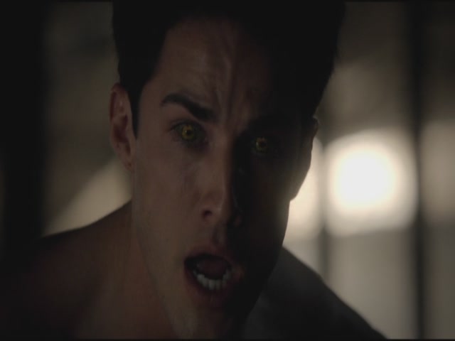 VampireDiariesWorld-dot-org-S3TVD_3x12TheTiesThatBind0808.jpg