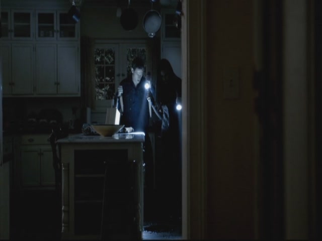 VampireDiariesWorld-dot-org-S3TVD_3x13BringingOutTheDead1517.jpg
