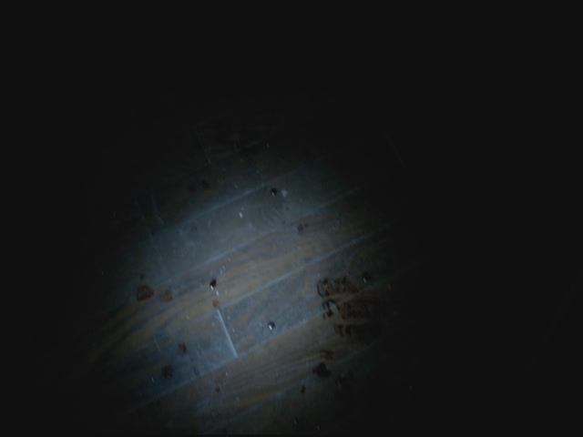 VampireDiariesWorld-dot-org-S3TVD_3x13BringingOutTheDead1519.jpg