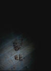 VampireDiariesWorld-dot-org-S3TVD_3x13BringingOutTheDead1520.jpg