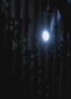 VampireDiariesWorld-dot-org-S3TVD_3x13BringingOutTheDead1532.jpg