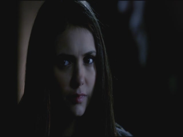 VampireDiariesWorld-dot-org-S3TVD_3x14DangerousLiaisons0116.jpg