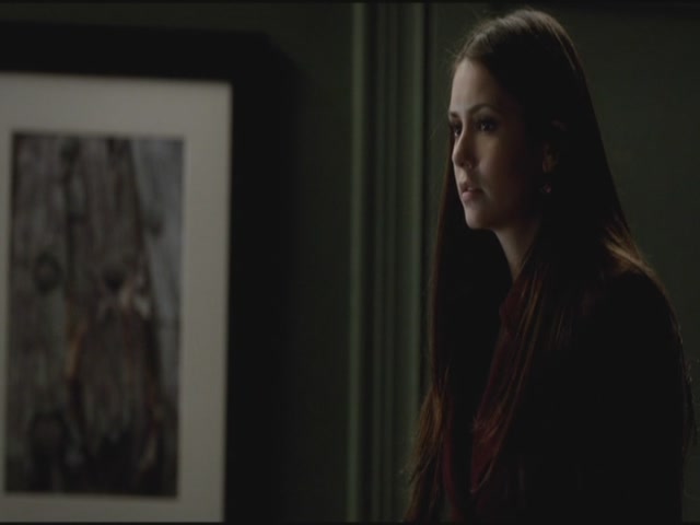 VampireDiariesWorld-dot-org-S3TVD_3x16-1912-0919.jpg