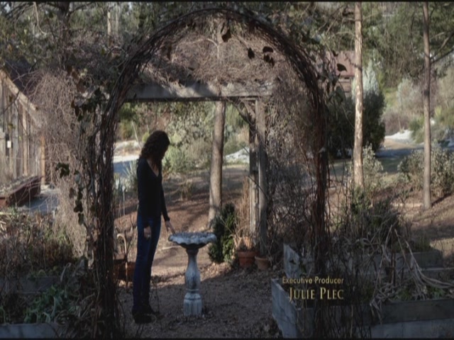 VampireDiariesWorld-dot-org-S3TVD_3x17BreakOnThrough0245.jpg