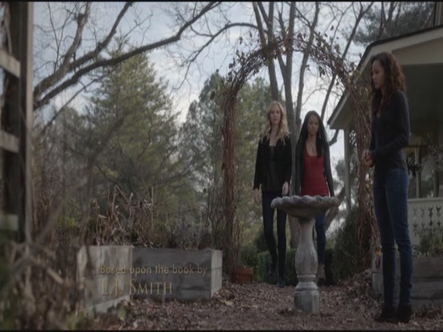 VampireDiariesWorld-dot-org-S3TVD_3x17BreakOnThrough0263.jpg