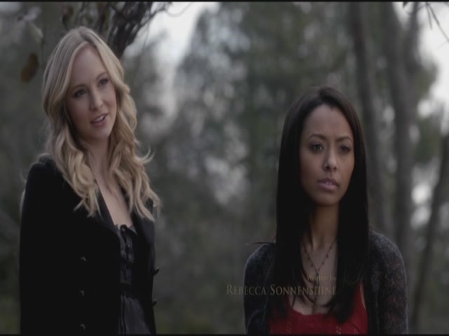 VampireDiariesWorld-dot-org-S3TVD_3x17BreakOnThrough0265.jpg