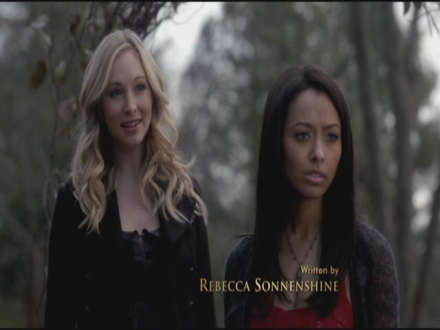 VampireDiariesWorld-dot-org-S3TVD_3x17BreakOnThrough0266.jpg