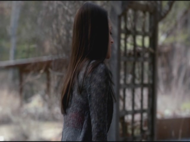 VampireDiariesWorld-dot-org-S3TVD_3x17BreakOnThrough0283.jpg