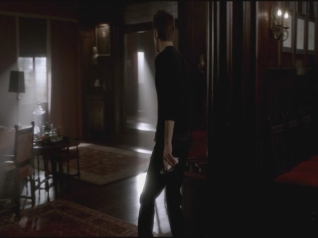 VampireDiariesWorld-dot-org-S3TVD_3x17BreakOnThrough0435.jpg