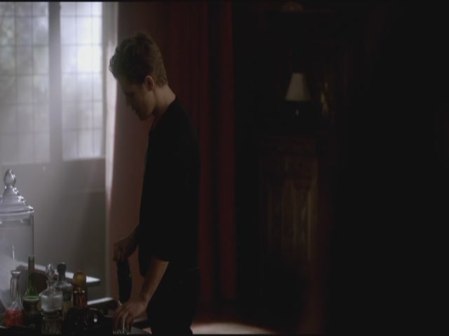 VampireDiariesWorld-dot-org-S3TVD_3x17BreakOnThrough0446.jpg