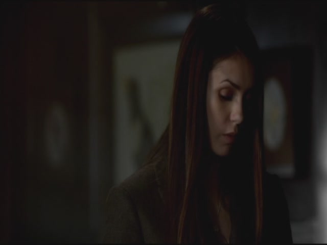 VampireDiariesWorld-dot-org-S3TVD_3x17BreakOnThrough0503.jpg