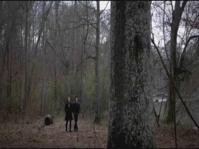 VampireDiariesWorld-dot-org-S3TVD_3x17BreakOnThrough0523.jpg