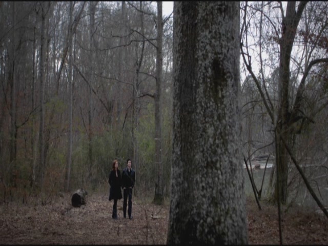 VampireDiariesWorld-dot-org-S3TVD_3x17BreakOnThrough0524.jpg