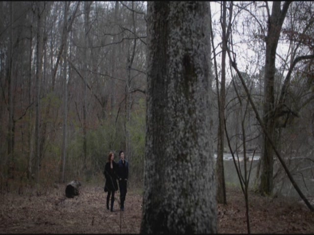 VampireDiariesWorld-dot-org-S3TVD_3x17BreakOnThrough0525.jpg