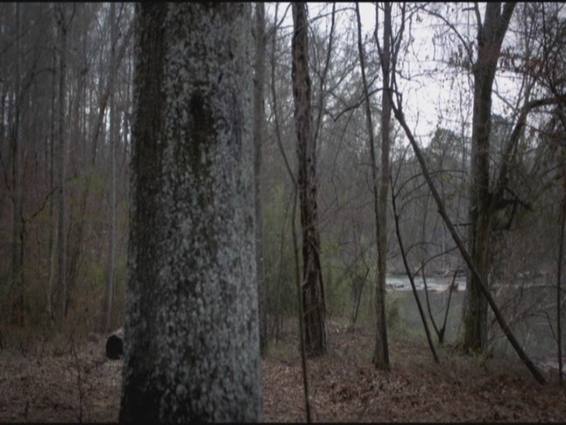 VampireDiariesWorld-dot-org-S3TVD_3x17BreakOnThrough0527.jpg