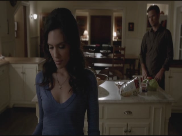 VampireDiariesWorld-dot-org-S3TVD_3x17BreakOnThrough1617.jpg