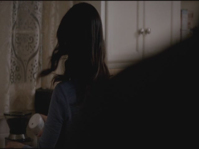 VampireDiariesWorld-dot-org-S3TVD_3x17BreakOnThrough1626.jpg