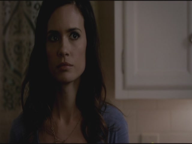 VampireDiariesWorld-dot-org-S3TVD_3x17BreakOnThrough1657.jpg