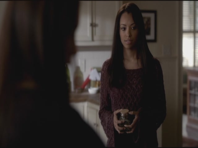 VampireDiariesWorld-dot-org-S3TVD_3x17BreakOnThrough1987.jpg