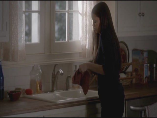 VampireDiariesWorld-dot-org-S3TVD_3x17BreakOnThrough2171.jpg