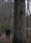 VampireDiariesWorld-dot-org-S3TVD_3x17BreakOnThrough0525.jpg