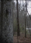 VampireDiariesWorld-dot-org-S3TVD_3x17BreakOnThrough0527.jpg