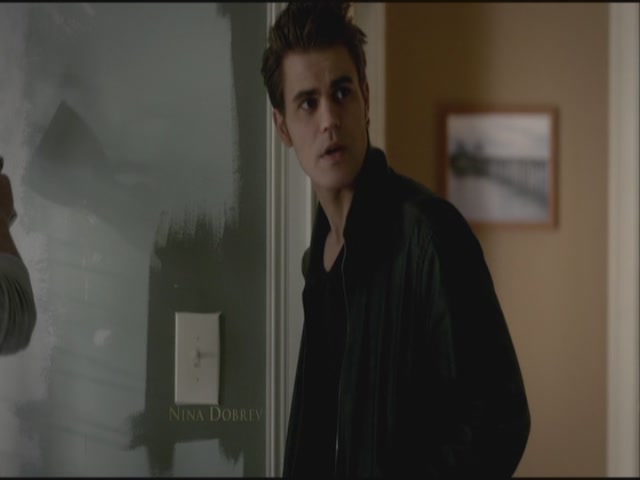 VampireDiariesWorld-dot-org-S3TVD_3x21BeforeSunset0190.jpg