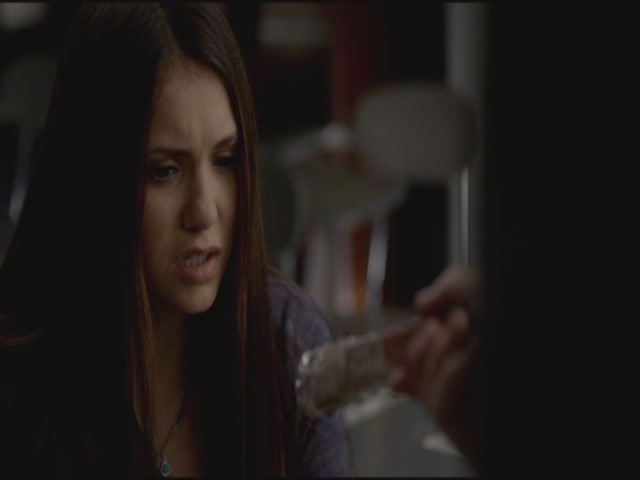 VampireDiariesWorld-dot-org-S3TVD_3x21BeforeSunset0732.jpg