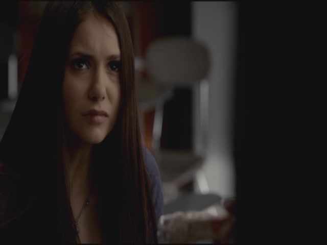 VampireDiariesWorld-dot-org-S3TVD_3x21BeforeSunset0737.jpg