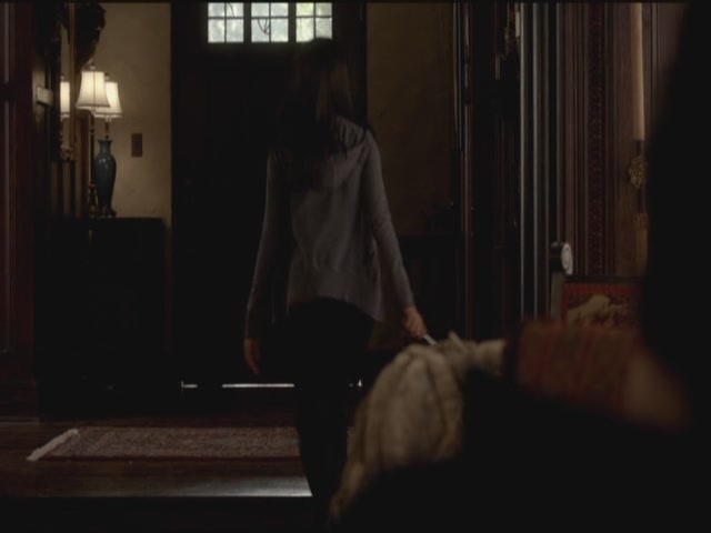 VampireDiariesWorld-dot-org-S3TVD_3x21BeforeSunset0771.jpg