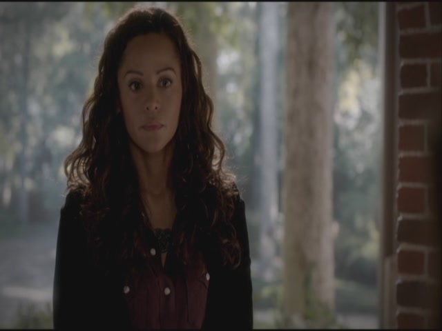 VampireDiariesWorld-dot-org-S3TVD_3x21BeforeSunset0775.jpg