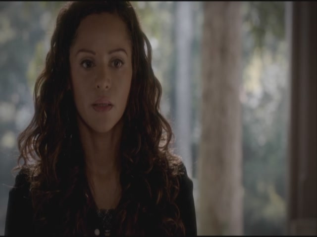 VampireDiariesWorld-dot-org-S3TVD_3x21BeforeSunset0786.jpg