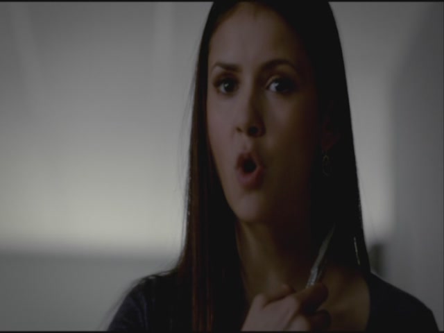 VampireDiariesWorld-dot-org-S3TVD_3x21BeforeSunset1240.jpg