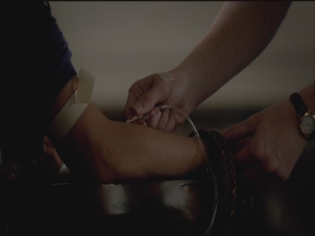 VampireDiariesWorld-dot-org-S3TVD_3x21BeforeSunset1295.jpg