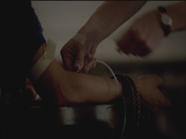 VampireDiariesWorld-dot-org-S3TVD_3x21BeforeSunset1296.jpg