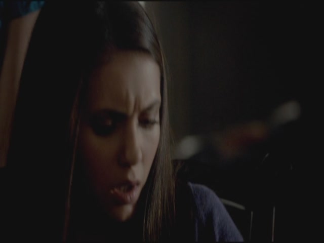 VampireDiariesWorld-dot-org-S3TVD_3x21BeforeSunset1306.jpg