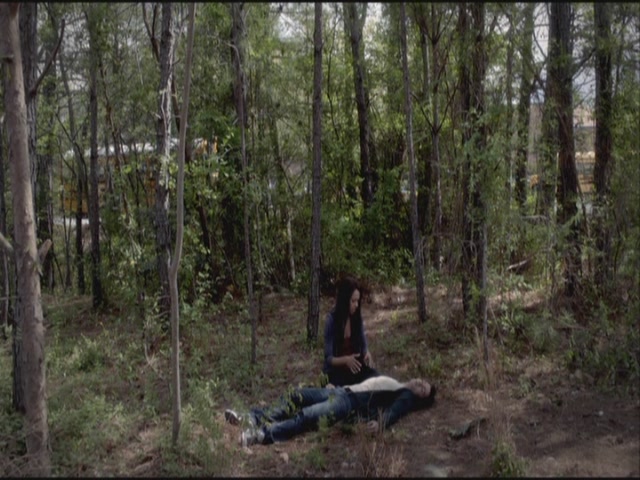 VampireDiariesWorld-dot-org-S3TVD_3x21BeforeSunset1709.jpg