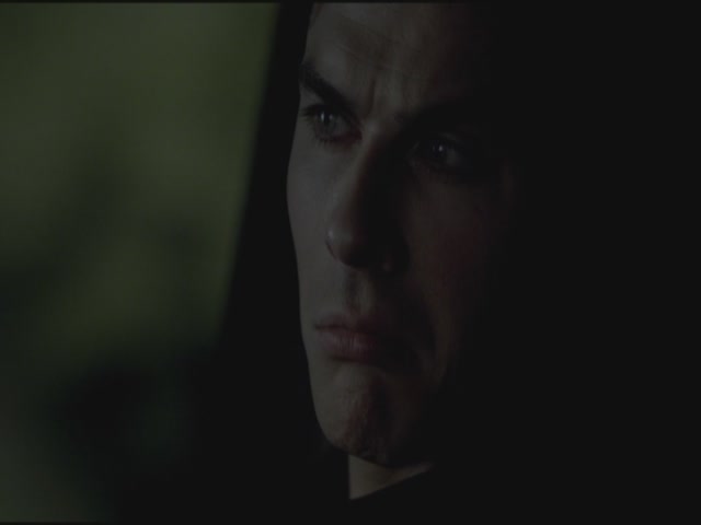 VampireDiariesWorld-dot-org-S3TVD_3x21BeforeSunset2109.jpg