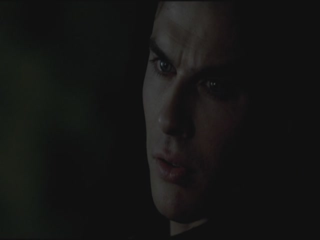 VampireDiariesWorld-dot-org-S3TVD_3x21BeforeSunset2110.jpg