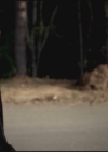 VampireDiariesWorld-dot-org-S3TVD_3x21BeforeSunset0812.jpg