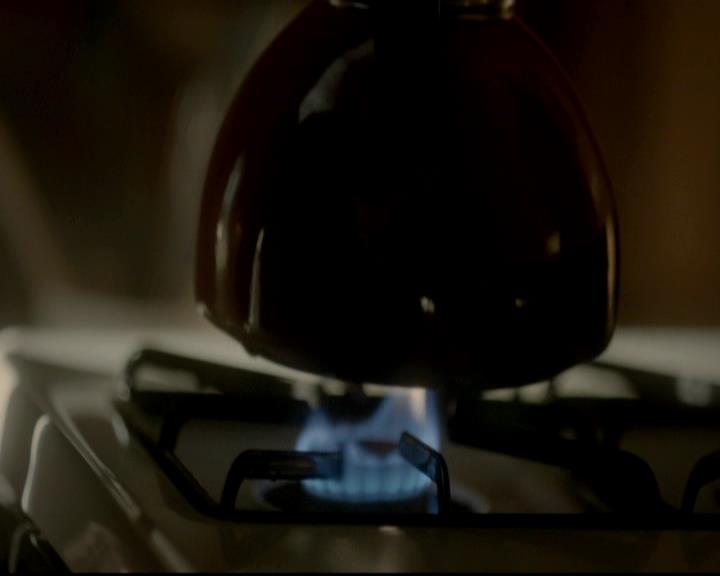 VampireDiariesWorld-dot-org_4x01GrowingPains0871.jpg