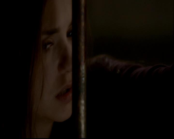 VampireDiariesWorld-dot-org_4x01GrowingPains1187.jpg