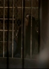 VampireDiariesWorld-dot-org_4x01GrowingPains1174.jpg