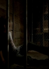 VampireDiariesWorld-dot-org_4x01GrowingPains1492.jpg