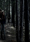 VampireDiariesWorld-dot-org_4x02Memorial0137.jpg